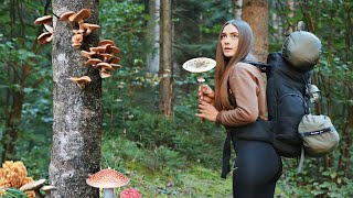 Solo trip with Canvas Hot tent in the mushroom woods  Wild camping cooking bushcraft skills ASMR [upl. by Riccardo63]