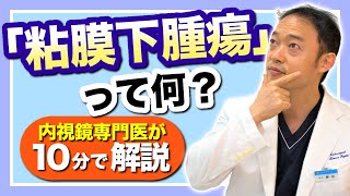 胃粘膜下腫瘍について 内視鏡専門医が徹底解説 検診で指摘されたら読んでおこう [upl. by Lezlie]