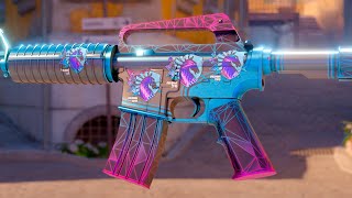 M4A1S Decimator Sticker Combos  CS 2 [upl. by Misha529]