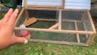 Quail cage  modified DIY [upl. by Asira]