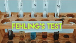 Carbohydrates Color Reaction Fehlings Test [upl. by Ynafetse]