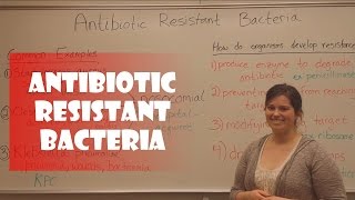 Antibiotic Resistant Bacteria [upl. by Can]