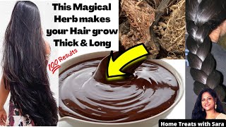 Magical Hair Growth Pack  How to Grow Long and Thick Hair Naturally amp Faster  Herbal Hair pack🌿 [upl. by Wartow453]