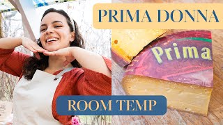 PRIMA DONNA Cheese Review Episode 6 [upl. by Adrianne]