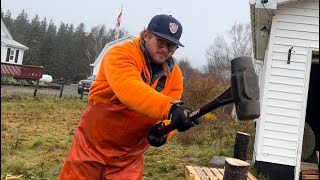 BUILDING PASTURE HOG PEN for 10 Berkshire x Tamworth pigs winter feeding  hotwire training Part 1 [upl. by Adlee792]