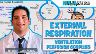 Respiratory  External Respiration Ventilation Perfusion Coupling [upl. by Mccall471]