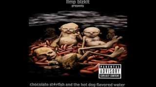 13 Limp Bizkit featScott WeilandHold On [upl. by Eiliab755]