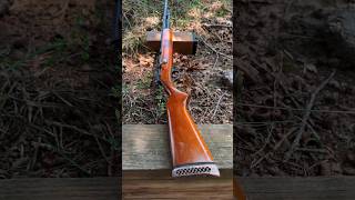 Check Out This Classic 410 Shotgun Bolt Action [upl. by Josepha]