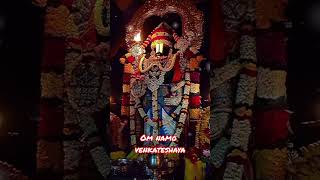 Perumal devotionalperumalstatus tirupathibalaji shorts lordbalaji telugu tamil god [upl. by Oryaj]