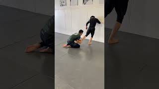 Ankle Pick for Jiu Jitsu [upl. by Mairhpe42]