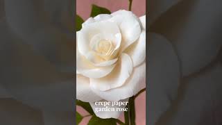 A New Crepe Paper Garden Rose [upl. by Amikan]