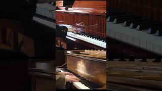 Bösendorfer VS Steinway [upl. by Ferdinande]