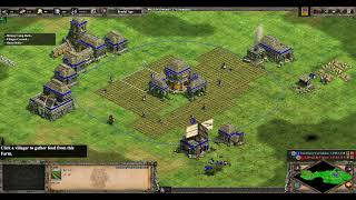 TooManyVariables Incas vs LibraTheVictor Berbers  AoE2 DE [upl. by Hoshi]