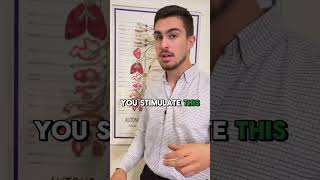 Sympathetic vs parasympathetic nervous system chiropractic nervoussystem [upl. by Billye921]