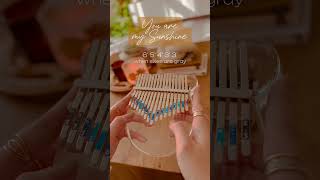 You Are My Sunshine Kalimba Cover 🪷  easy kalimba tabs for beginners [upl. by Natassia]