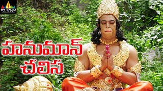 Hanuman Chalisa Telugu Full Movie  Vindu Dara Singh Suman AVS [upl. by Alaster]