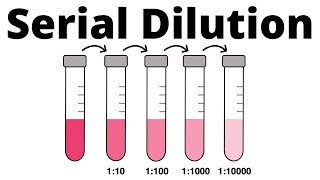 How to prepare a Serial Dilution [upl. by Fiona913]