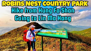 Summit of the Robins Nest Trail hkvtuber shortvideo hongkongs dayhike hkhikers nature [upl. by Saibot]