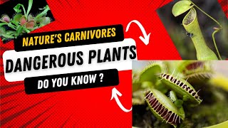 carnivorous plants  Natures Silent Predators  carnivorous plants eating [upl. by Leff966]