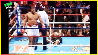 Riddick Bowe 7 Brutal Punches For 7 Million Dollars [upl. by Sjoberg]