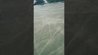 Nazca lines nazcalines nazca flying history nature travel peru [upl. by Aiekal132]