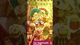 Sukha dukha do chhaki re Jay Jagannath 🙏🙏shortsfeed shorts ytshortsviral youtubeshortssad song [upl. by Carrington430]