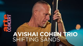 Avishai Cohen Trio  Shifting Sands Session  ARTE Concert [upl. by Esserac]