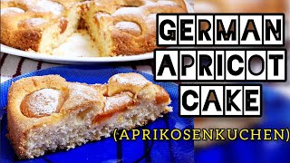 DELICIOUS GERMAN APRICOT SPONGE CAKE APRIKOSENKUCHEN asmr [upl. by Petigny]