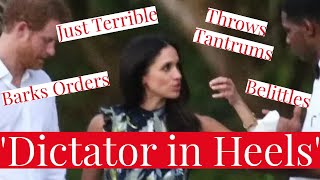 Meghan Markle Called a Dictator in Heels by The Hollywood Report in New Report on Bullying Staff [upl. by Meehyrb]