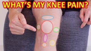 Why Your Knee Hurts Knee Pain Types By Location amp Description [upl. by Prima]