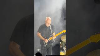 Comfortably Numb  David Gilmour Live at Crico Massimo Rome 2024 davidgilmour pinkfloyd rock [upl. by Norwood]