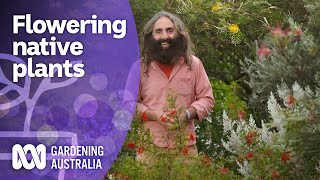 The best flowering native plants to grow in Spring  Australian native plants  Gardening Australia [upl. by Piane294]