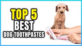 Top 5 Best Dog Toothpastes  Extreme Reviewer [upl. by Julita]