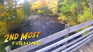 Spinning for Trout on the Peshtigo River at McClintock County Park [upl. by Jt]