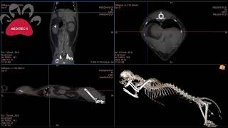 CBCT Clinical Case Sharing Issue 15 Thoracic Ductography Cat 42kg [upl. by Enitsahc]