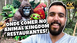 ROTEIRO ANIMAL KINGDOM  RESTAURANTES [upl. by Yengac]