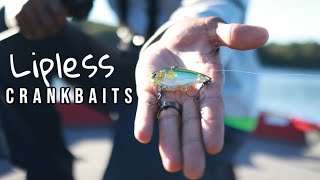 Lipless Crankbait Secrets  My Favorite Fall Fishing Bait [upl. by Aramanta]