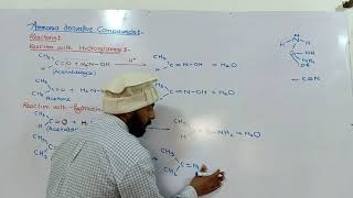 Ammonia derivative reactions  hydroxylamine amp hydrazine with carbonyl compound  12th class ch12 [upl. by Aerdnaek115]