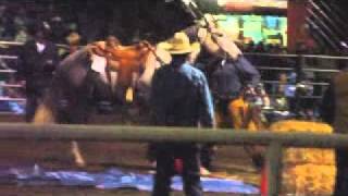 Craig Camerons Extreme Cowboy Race 2011 Finals [upl. by Katherina536]