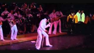 I Cant Stop Loving You  Elvis Presley legendado ptwmv [upl. by Springer]