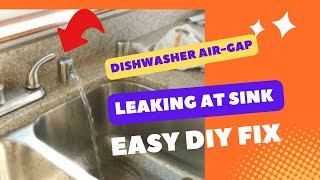 ✨ DISHWASHER DRAINS WATER AT AIR GAP  EASY FIX ✨ [upl. by Questa]