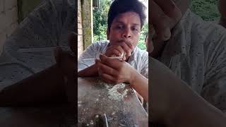 Barnaulis effect experiment ssc hsc sscbiggan physics shorts Kochubiggannii কচুবিজ্ঞানী [upl. by Arnold221]