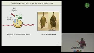 EMBL Keynote Lecture  Quality Control of Nascent Proteins Ramanujan Hegde [upl. by Ydollem658]