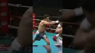 Boxing Clinic Manny Pacquiao vs Oscar Larios  Round 12 Highlights shorts mannypacquiao viral [upl. by Ainez]