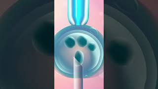 IVF Options for Older Couples  Best IVF Clinic In Jalandhar  Vardaan IVF Clinic [upl. by Assyle139]