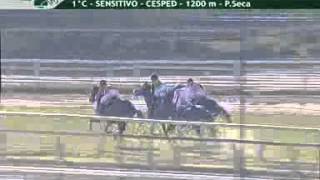 Calendario de carreras Video histórico Hipódromo Argentino de Palermo [upl. by Arvid]