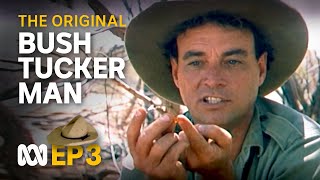 Finding food water in the Tanami Desert 🤠🗺️  Bush Tucker Man  S1 EP3  ABC Australia [upl. by Norrehc895]