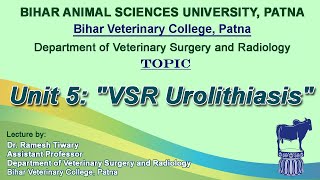 Unit 5 quotVSR Urolithiasisquot by Dr Ramesh Tiwari [upl. by Mcbride74]