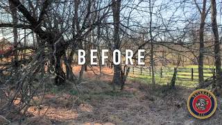 VeteransLLCus  BeforeAfter  Land Clearing in Lovettsville VA [upl. by Limay374]