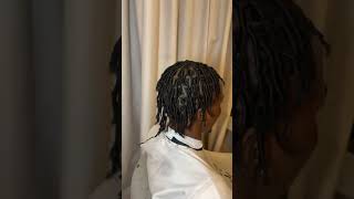 Locsbymason Starting of a journeycomb coils for the win locs locstylist shorts locsjourney [upl. by Ikkim479]